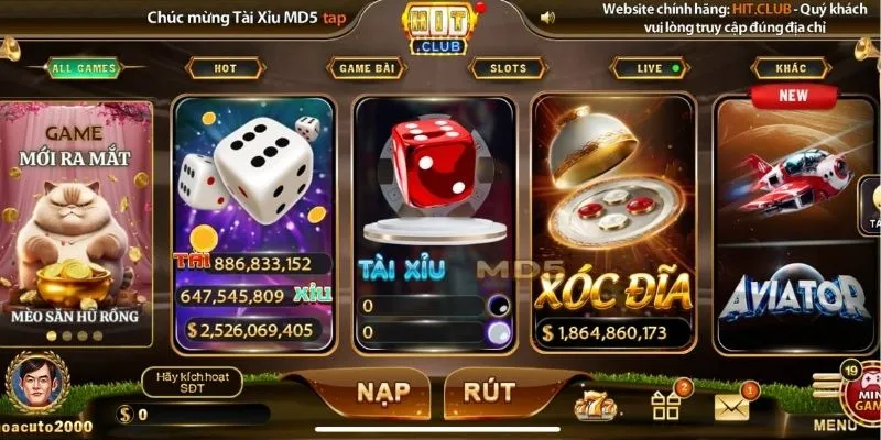 Trần Thảo Ngọc - CEO Đưa Hitclub Làm Cổng Game Số 1 Châu Á 2 Tầm quan trọng của CEO đối với Hitclub